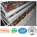 China Factory Quality a Type Layer Poultry Cages